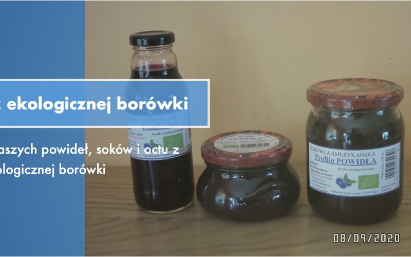 Przetwory z ekologicznej borówki